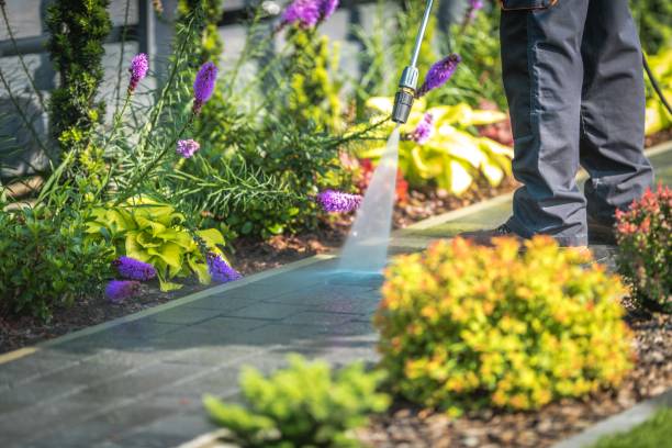 Best Driveway Pressure Washing  in Rayne, LA